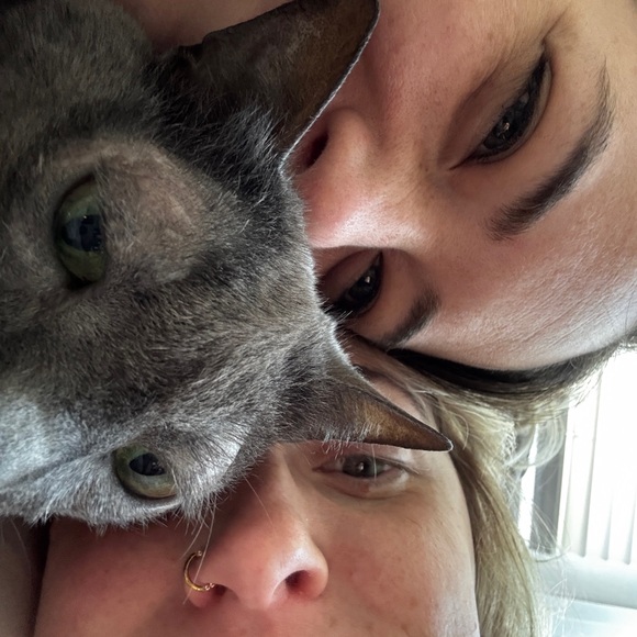 Meet your Posher, Ellie - Picture 2 of 3